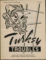 Turkey troubles