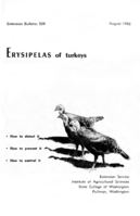 Erysipelas of turkeys