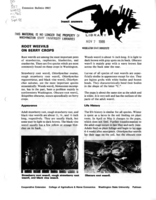 Root weevils on berry crops