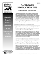 Safflower Production Tips/ Alternative Crops for Dryland Ag Series