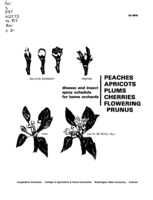 Disease and insect spray program for home gardens: Peaches, apricots, plums, cherries, flowering prunus