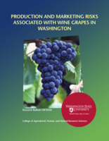 Production and marketing risks associated with wine grapes in Washington