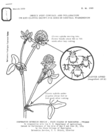Insect pest control and pollination on red clover grown for seed in central Washington