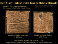 How Many Turkeys Did It Take to Make a Blanket?