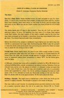 Care of a small flock of chickens