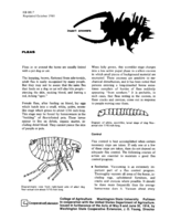 Fleas