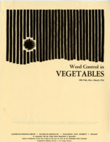 Weed control in vegetables