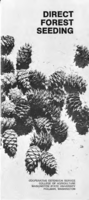 Direct forest seeding