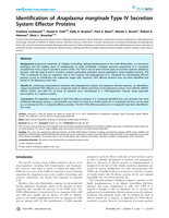 Identification of Anaplasma marginale type IV secretion system effector proteins