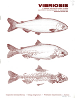 Vibriosis: A common disease of Pacific salmon cultured in marine waters of Washington