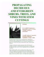 Propagating Deciduous and Evergreen Shrubs, Trees, Vines with Stem Cuttings