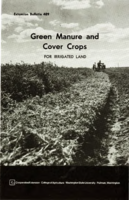 Green manure and cover crops for irrigated land