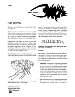 Insect answers: Flea control