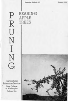 Pruning bearing apple trees