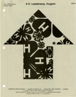 4-H leadership project (unit 3)