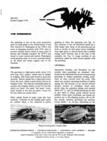 Insect answers: The greenbug