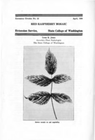 Red raspberry mosaic