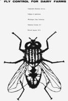 Fly control for dairy farms