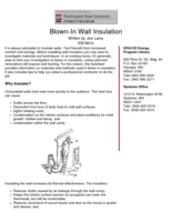 Blown-in Wall Insulation