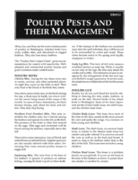 Poultry pests and their management