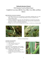 Field and laboratory protocol: WSU Extension Cereal Leaf Beetle Project
