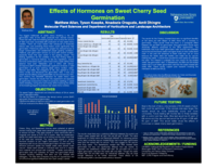 Effects of hormones on sweet cherry seed germination