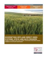 Diversifying Dryland Direct-Seed Systems : Steve and Nate Riggers : Farmer-to-Farmer Case Study Series : Increasing Resilience Among Farmers in the Inland Pacific Northwest