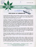 Plant diseases: Twig blight of Arborvitae