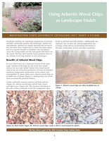 Using arborist wood chips as landscape mulch