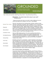 Grounded Newsletter, August 2019
