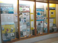 Government and Waste