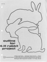 Outline for 4-H rabbit project