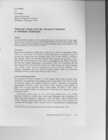 Vertebrate Fossils from the Chuckanut Formation of Northwest Washington