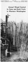 Annual weed control in cane and bush fruits in western Washington