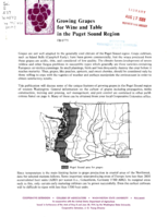 Growing grapes for wine and table in the Puget Sound region