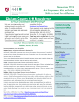 Clallam County 4-H Newsletter, December 2019