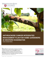 Anthracnose canker integrated management plan for home gardeners in Western Washington