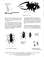 Insect answers: Cockroach prevention and control