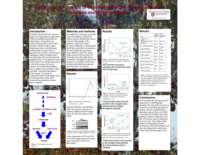 Analysis of the control of the most important flavor production process occurring in apples