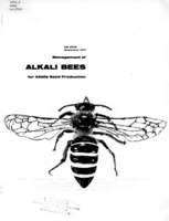 Management of alkali bees for alfalfa seed production