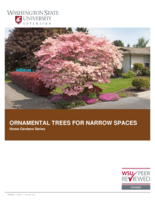 Ornamental trees for narrow spaces