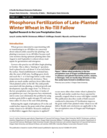 Phosphorus fertilization of late-planted winter wheat in no-till fallow : applied research in the low-precipitation zone