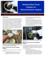 Washing plant tissue samples for mineral nutrient analysis