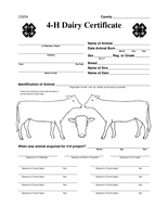 4-H Dairy Certificate