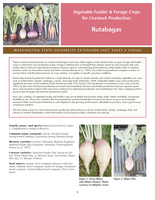 Vegetable fodder & forage crops for livestock production : rutabagas