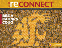 ReConnect Magazine, 2017