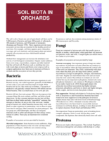 Soil biota in orchards