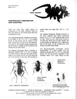 Insect answers: Cockroach prevention and control