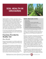 Soil health in orchards
