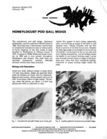 Honeylocust pod gall midge